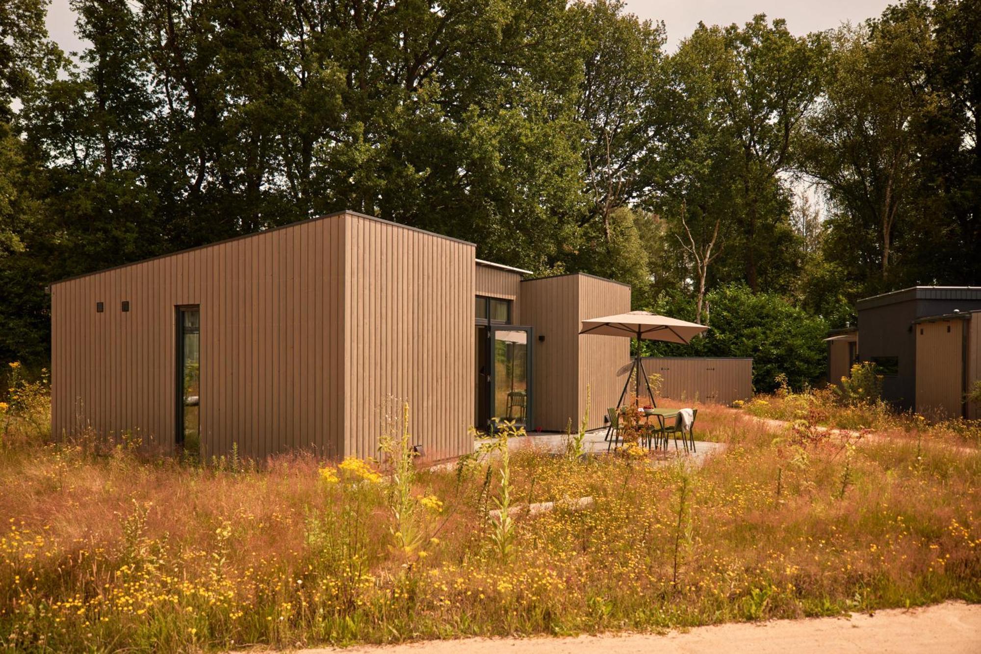 Dutchen Zeegser Duinen Suitelodges Екстериор снимка