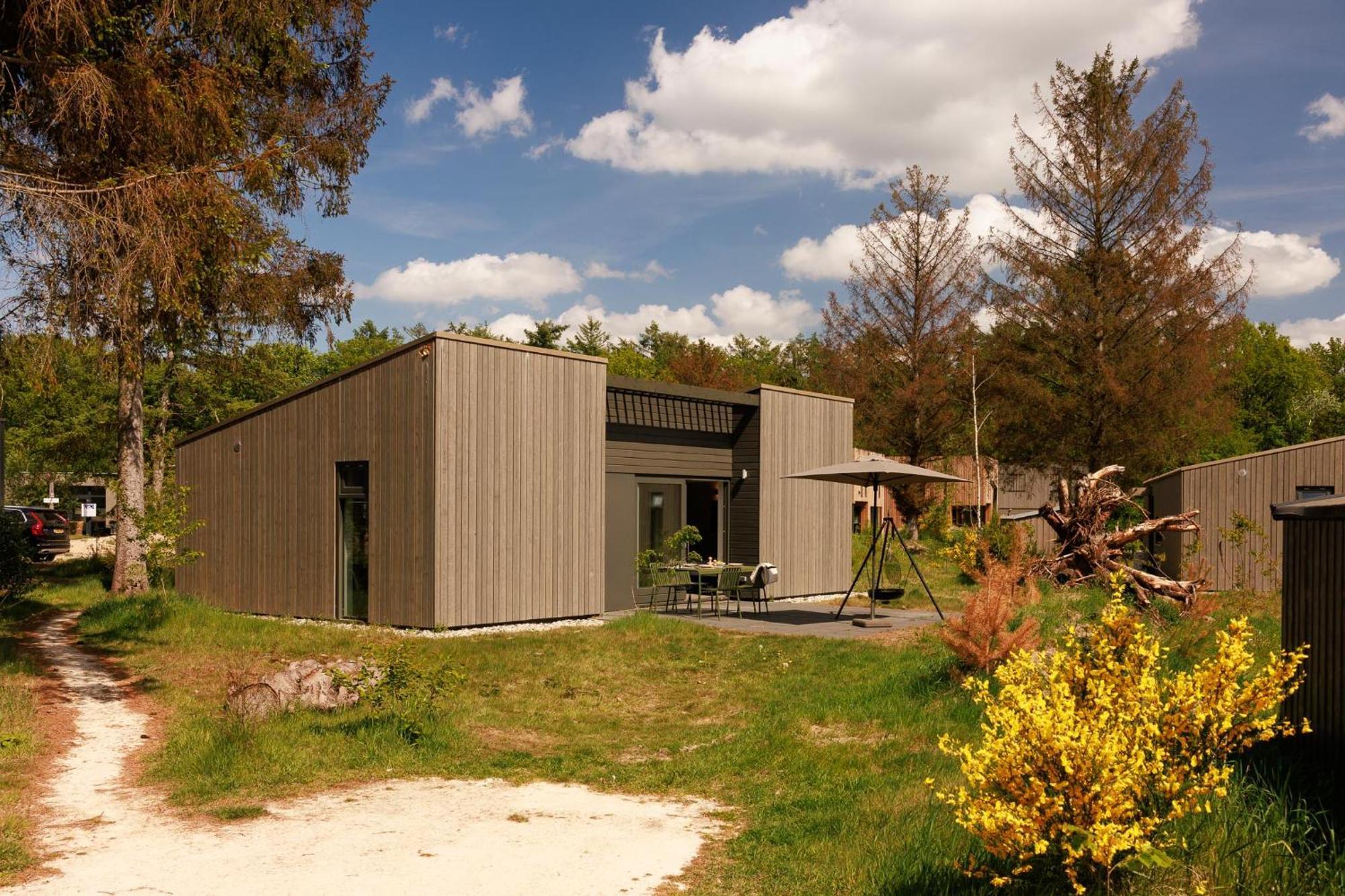 Dutchen Zeegser Duinen Suitelodges Екстериор снимка